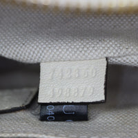 Gucci Blondie Camera Small_IMG_1784.jpg
