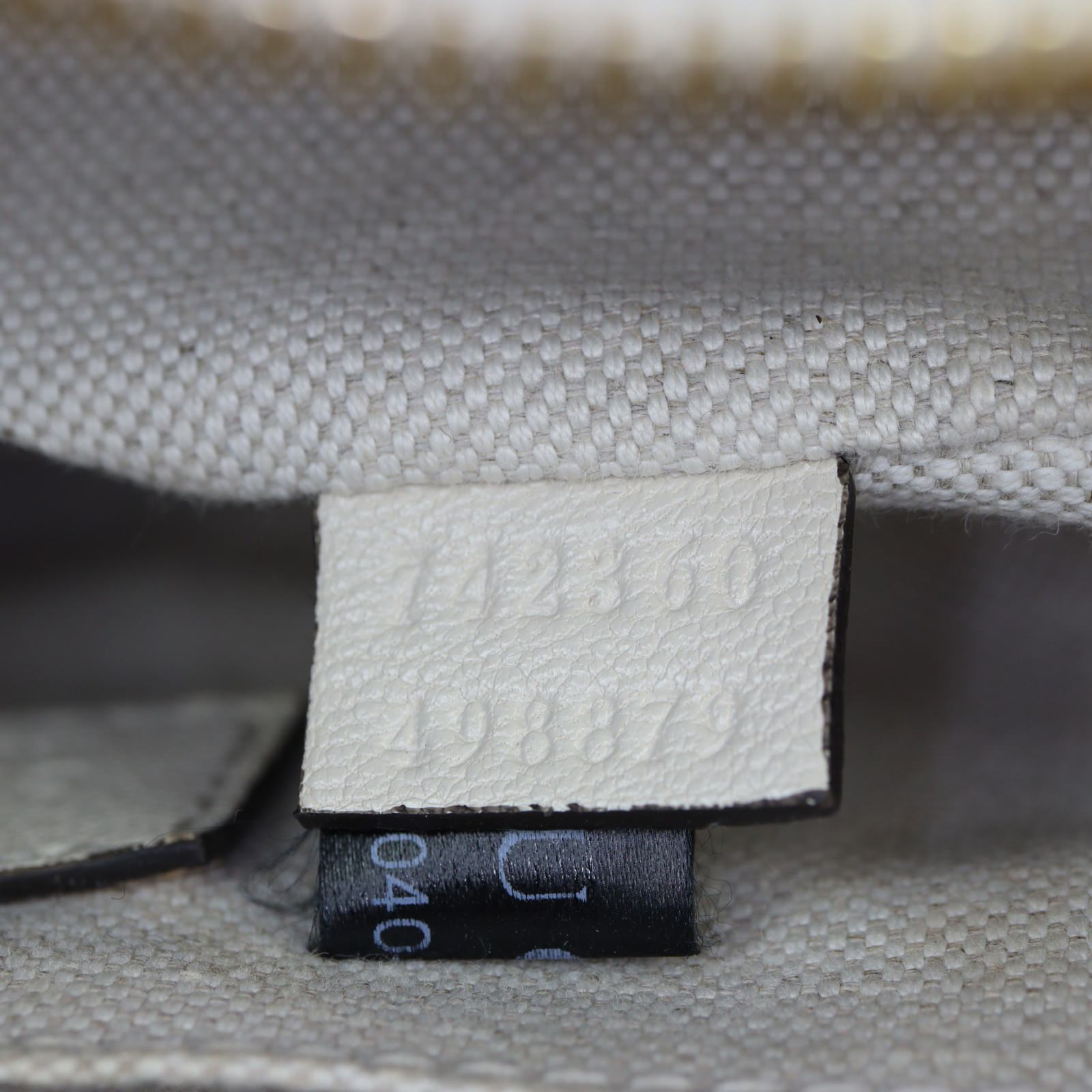 Gucci Blondie Camera Small_IMG_1784.jpg