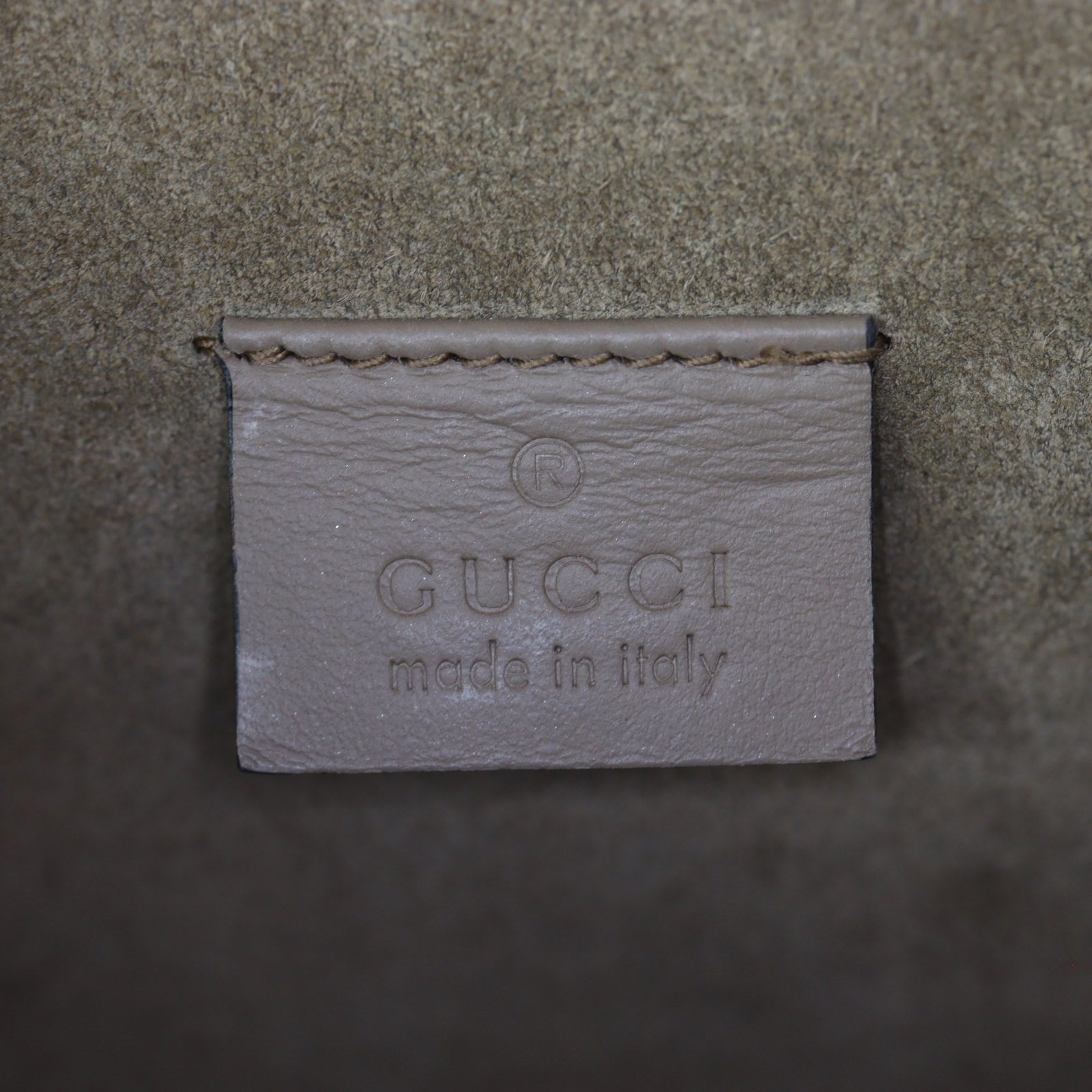 Gucci Dionysus GG Supreme Mini Shoulder Bag_IMG_8460.jpg