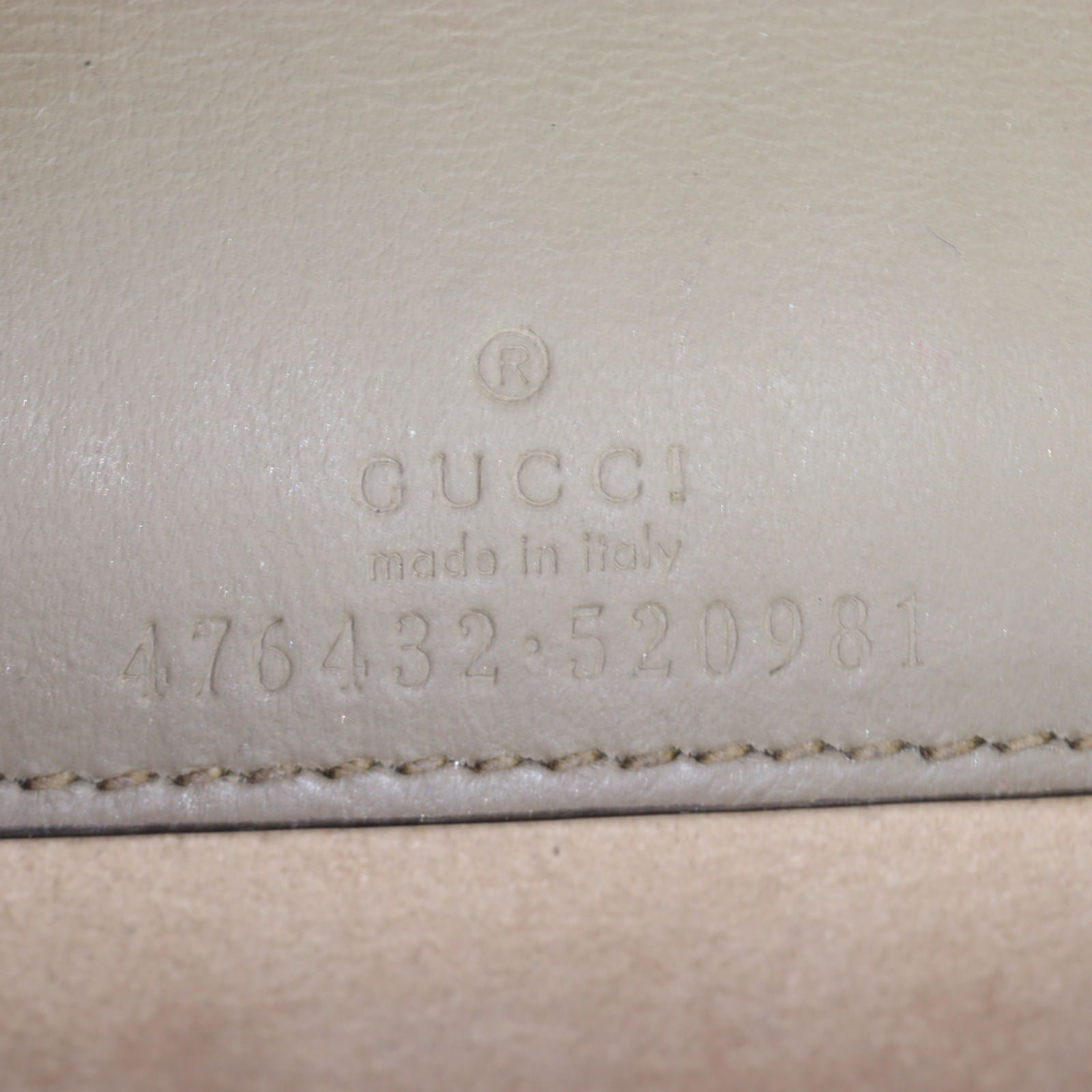 Gucci Dionysus GG Supreme Super Mini Bag_IMG_0701.jpg