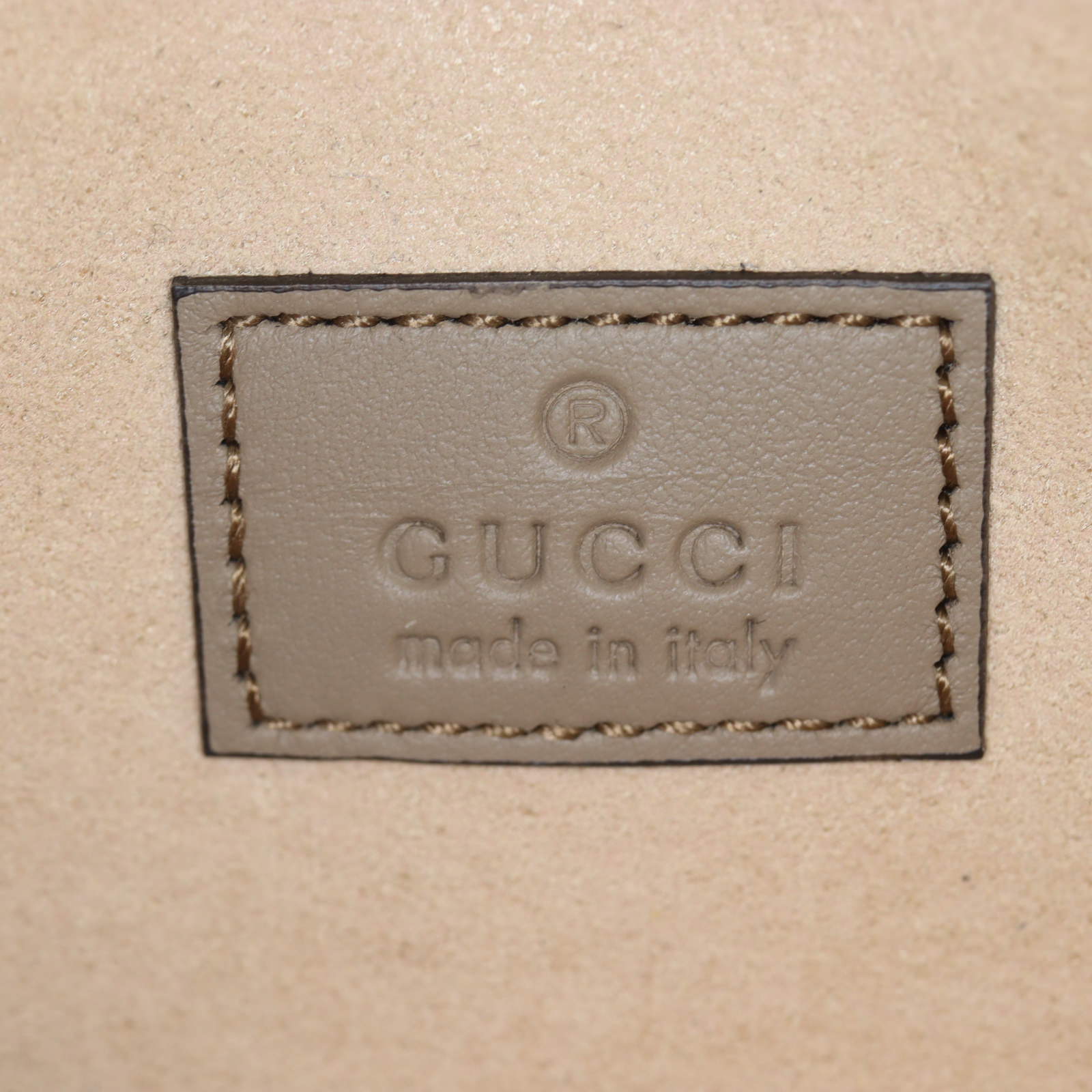 Gucci Dionysus GG Supreme Super Mini Bag_IMG_4892.jpg