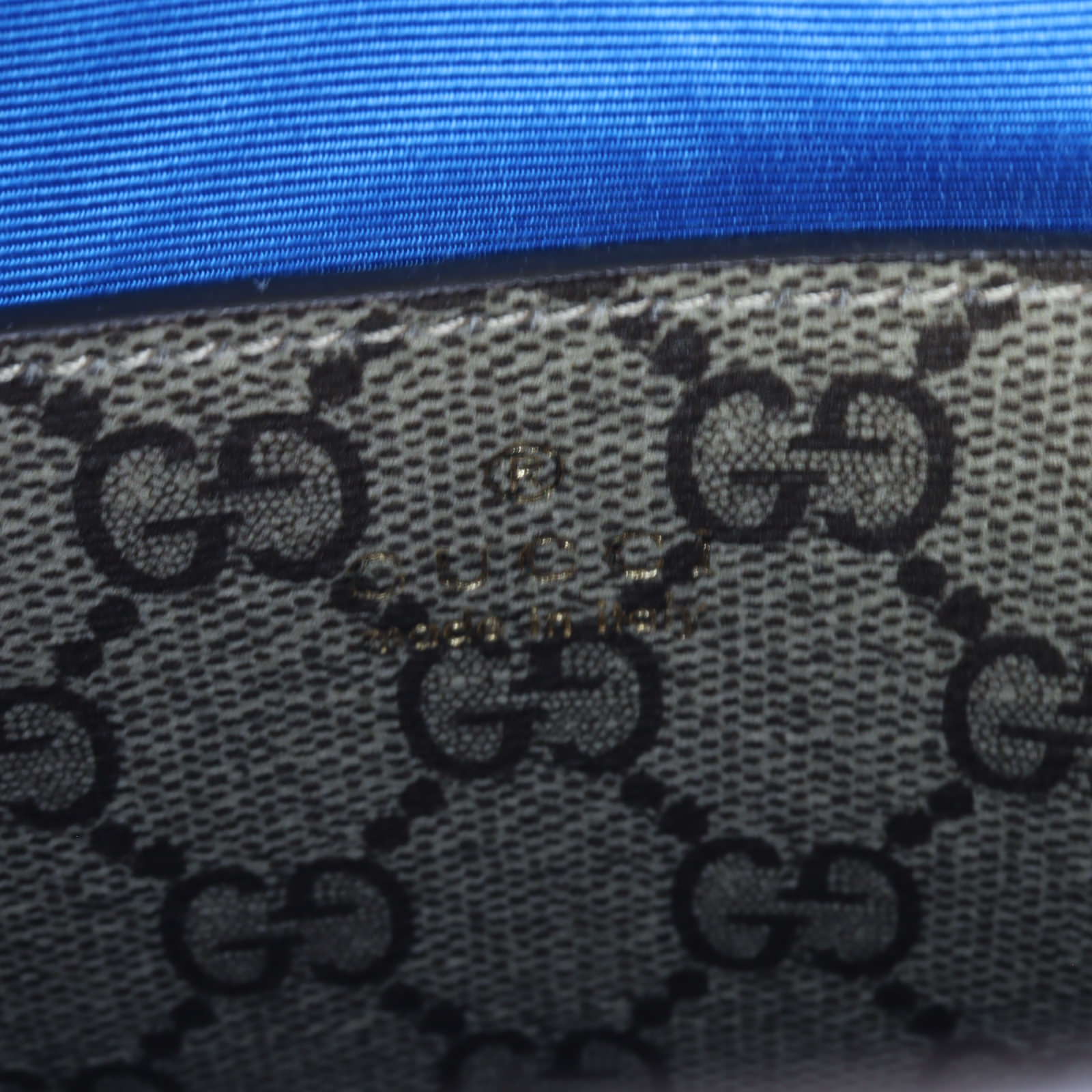 Gucci Exquisite GG Supreme Mini Tote_IMG_8931.jpg