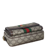 Gucci GG Supreme Ophidia Mini Camera Bag_IMG_4666.jpeg