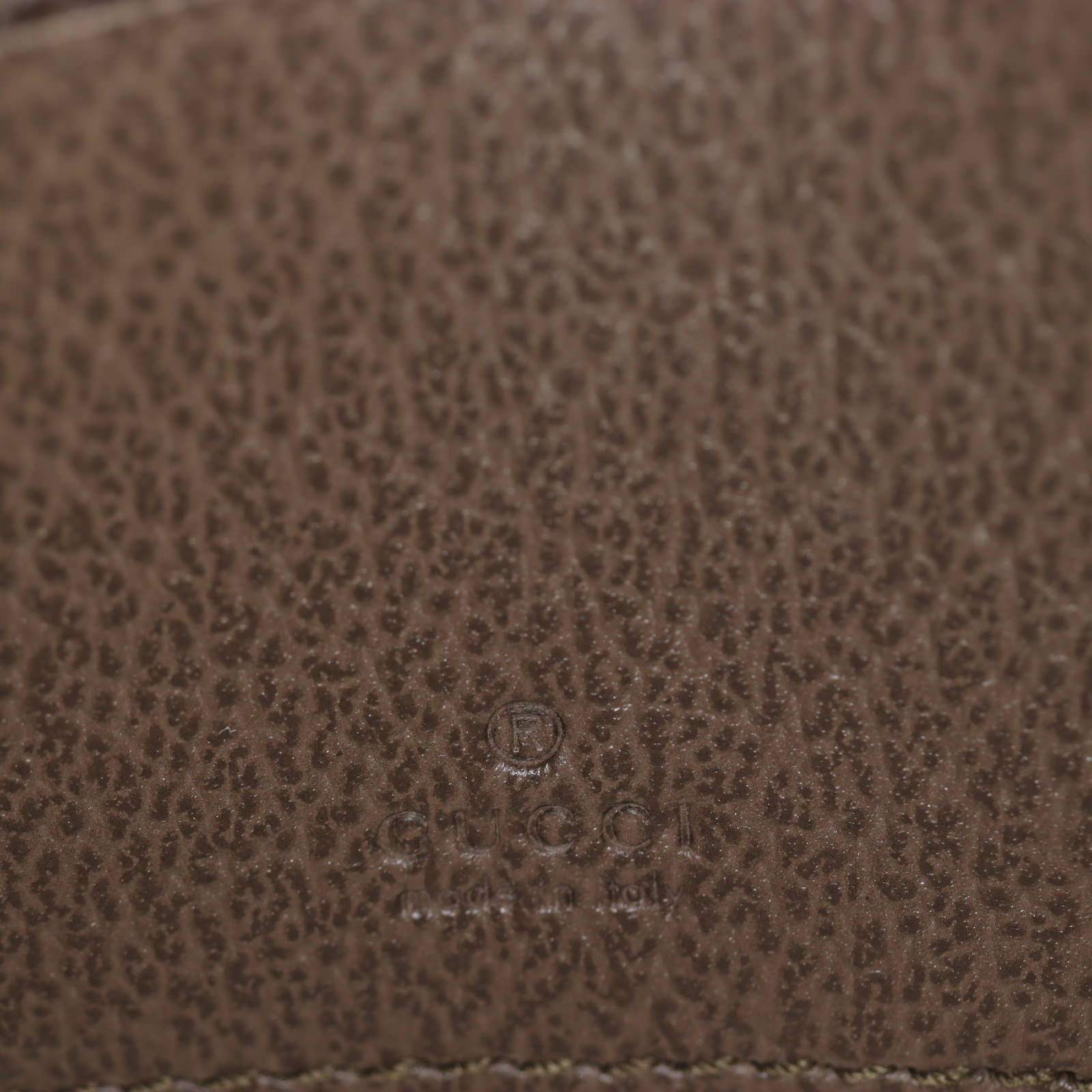 Gucci GG Supreme Ophidia Mini Camera Bag_IMG_4671.jpg