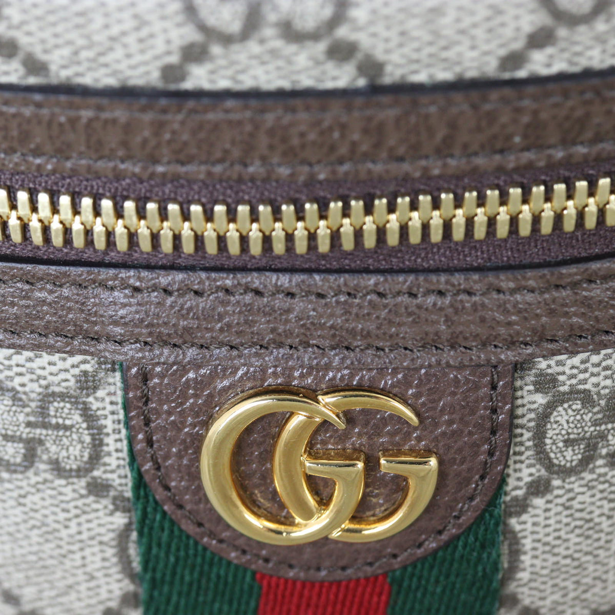 Gucci GG Supreme Ophidia Vanity_IMG_5149.jpg