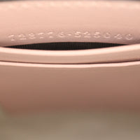 Gucci GG Top Handle Crossbody Mini_IMG_4517.jpg