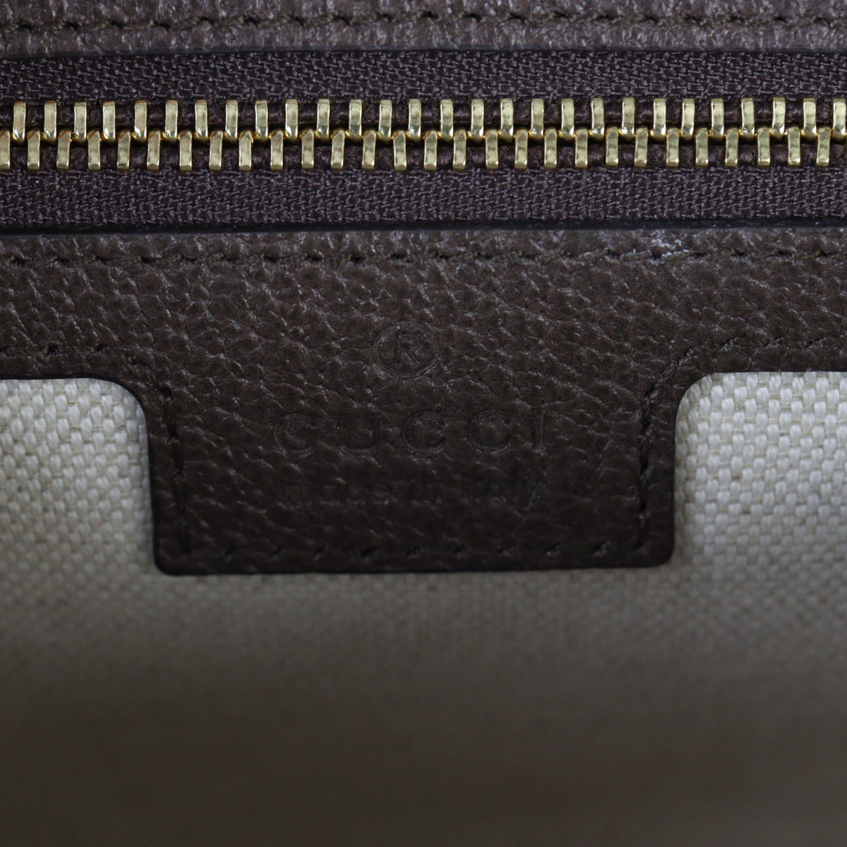 Gucci Ophidia GG Supreme Flap Shoulder Bag Mini_IMG_6642.jpg