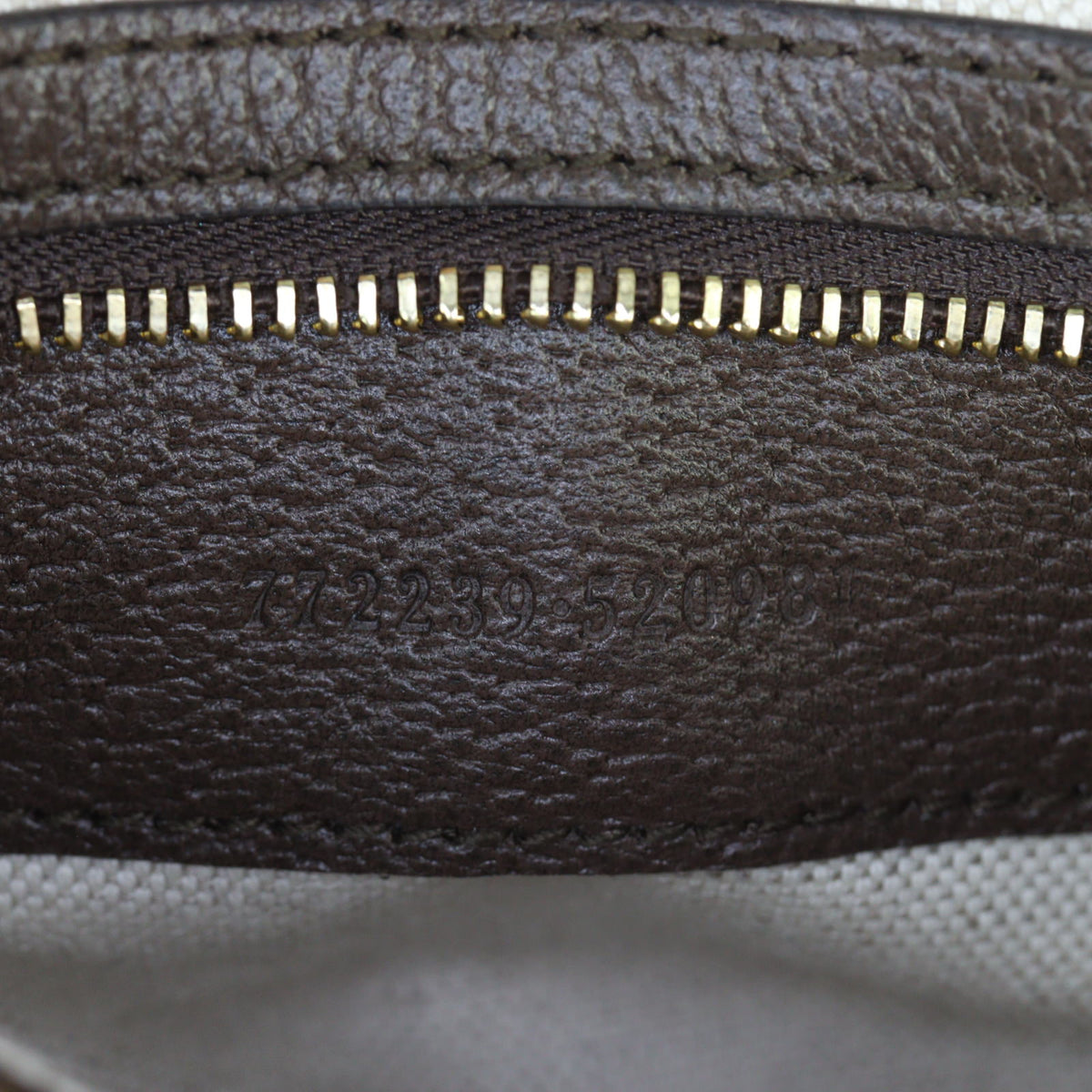 Gucci Ophidia GG Supreme Flap Shoulder Bag Mini_IMG_6643.jpg