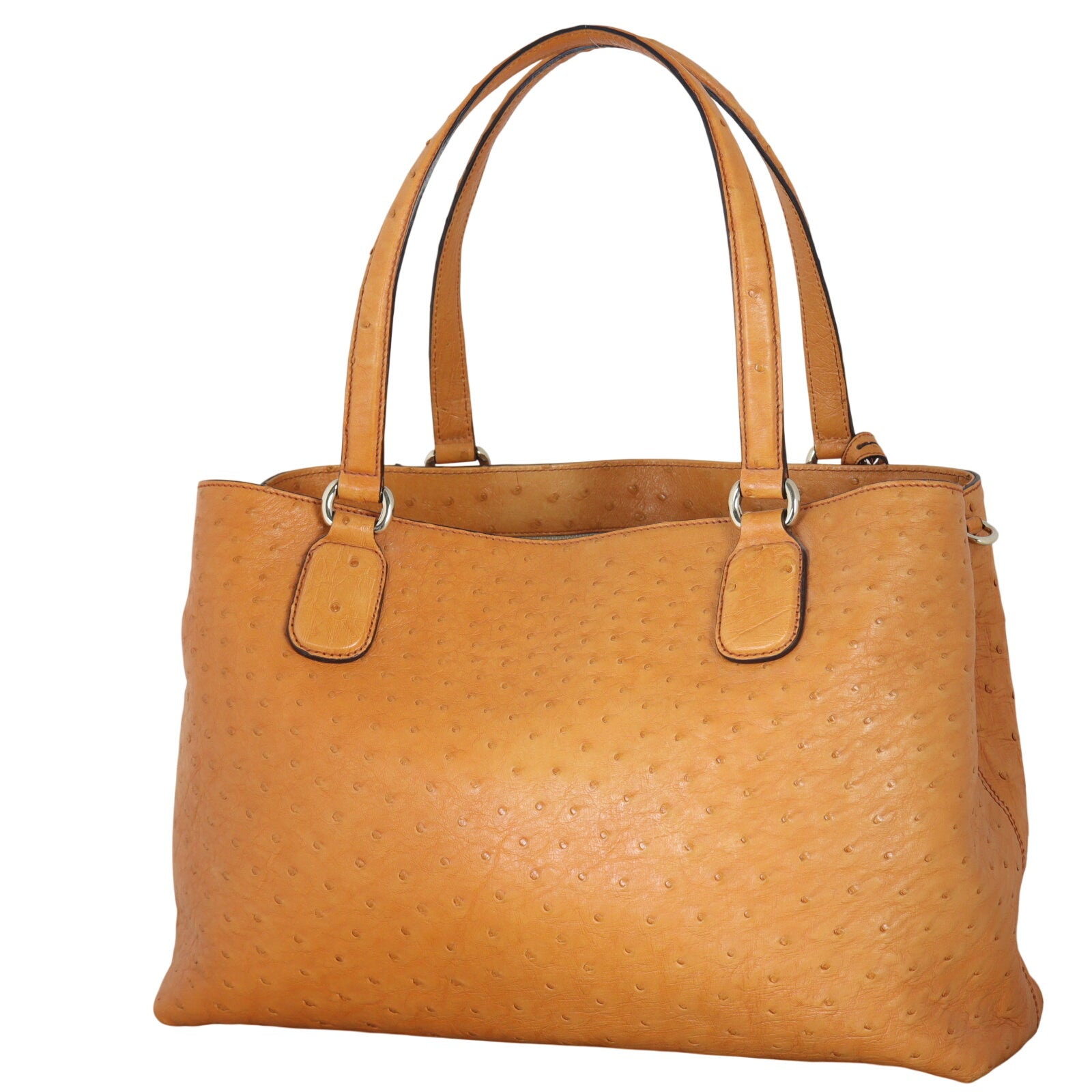 Gucci Soho Working Tote Ostrich_IMG_7495.jpeg