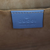 Gucci Sylvie Top Handle Mini Bag_IMG_2742.jpg