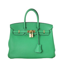 Hermes Birkin 25_IMG_0263.jpeg