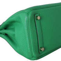 Hermes Birkin 25_IMG_0269.jpeg