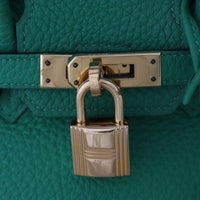 Hermes Birkin 25_IMG_0272.jpg