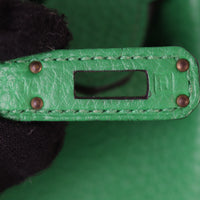 Hermes Birkin 25_IMG_0275.jpg
