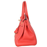 Hermes Birkin 30 Togo_IMG_0285.jpeg