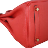Hermes Birkin 30 Togo_IMG_0287.jpeg