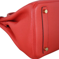 Hermes Birkin 30 Togo_IMG_0287.jpeg