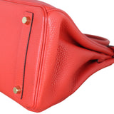 Hermes Birkin 30 Togo_IMG_0289.jpeg
