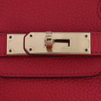 Hermes Birkin 30 Togo_IMG_0291.jpg