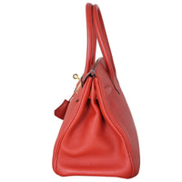 Hermes Birkin 30 Togo_IMG_3065.jpeg
