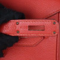 Hermes Birkin 30 Togo_IMG_3073.jpg