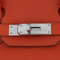 Hermes Birkin 30_IMG_8596.jpg