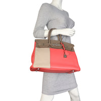 Hermes Birkin 35 Swift Evercolor Clemence_IMG_3982.jpeg