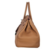 Hermes Birkin 35 (gold)_IMG_0758.jpeg