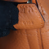 Hermes Bolide 31 Clemence_IMG_9786.jpg
