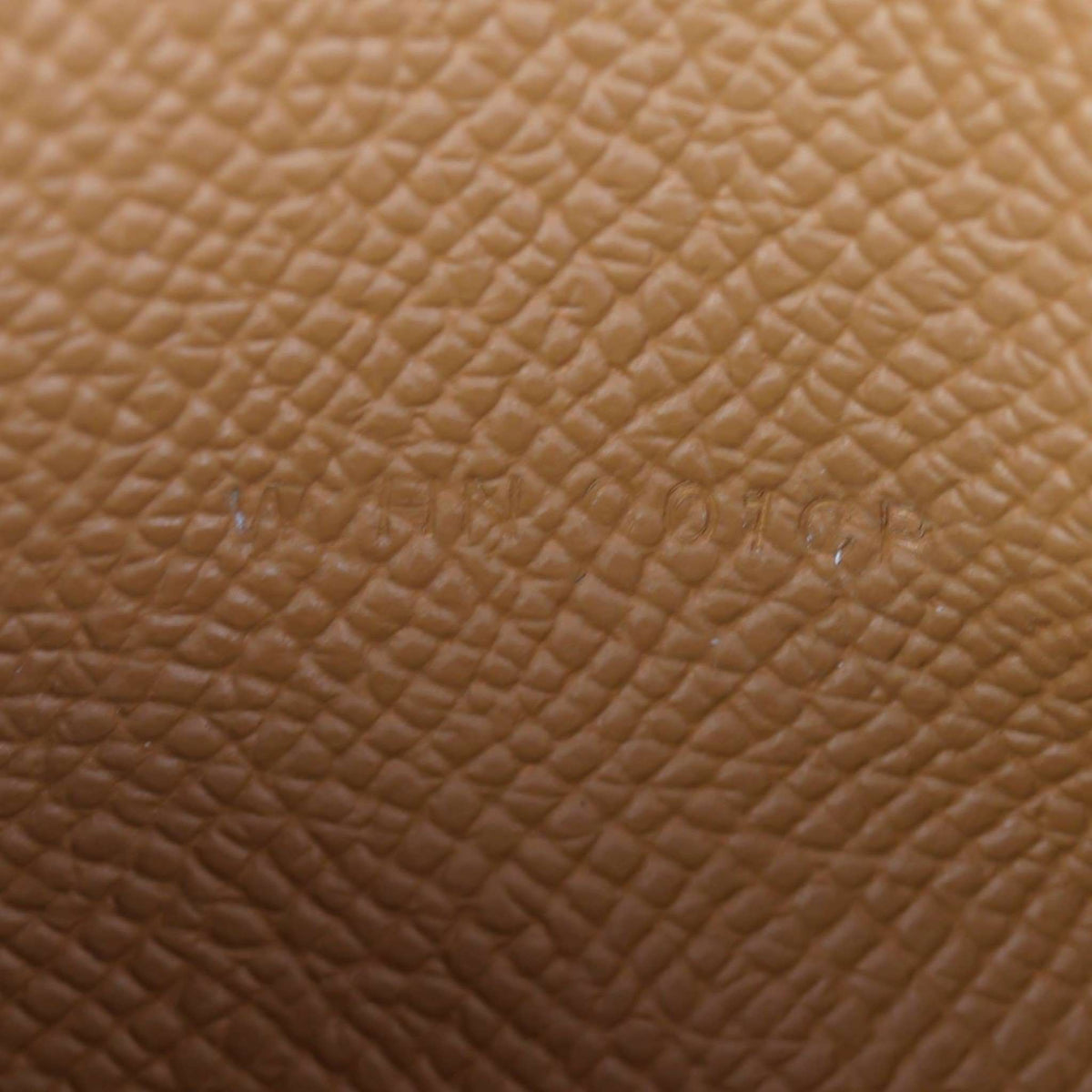 Hermes Constance To Go Wallet on Strap Epsom_IMG_7177.jpg