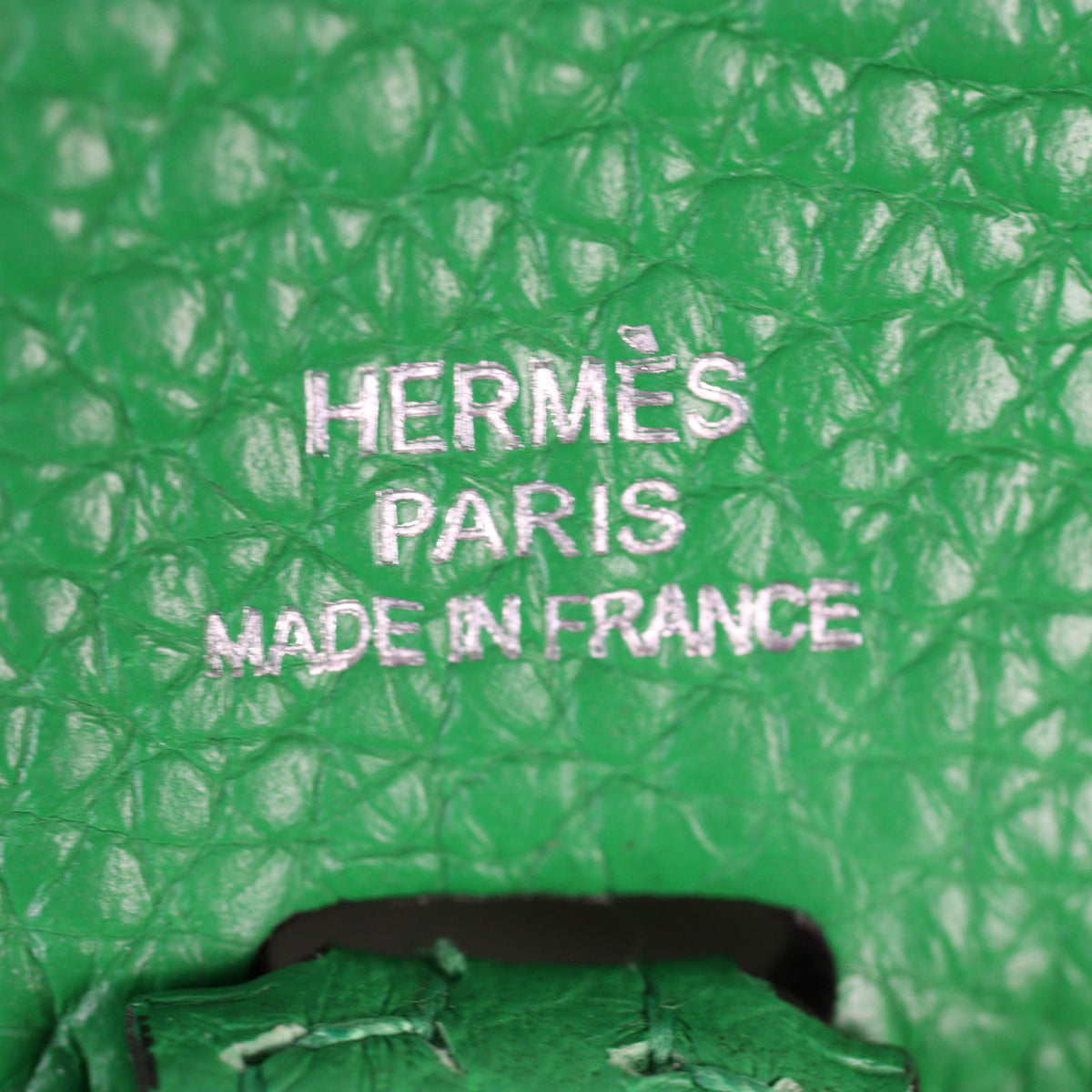 Hermes Evelyne 16 Amazone Clemence_IMG_4392.jpg