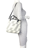 Hermes H en Biais Cabas Tote_IMG_3551.jpeg