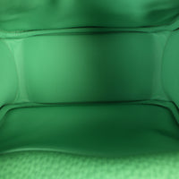Hermes Mini Lindy 20 Clemence_IMG_6412.jpg