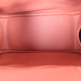 Hermes Mini Lindy 20 Swift_IMG_5095.jpg
