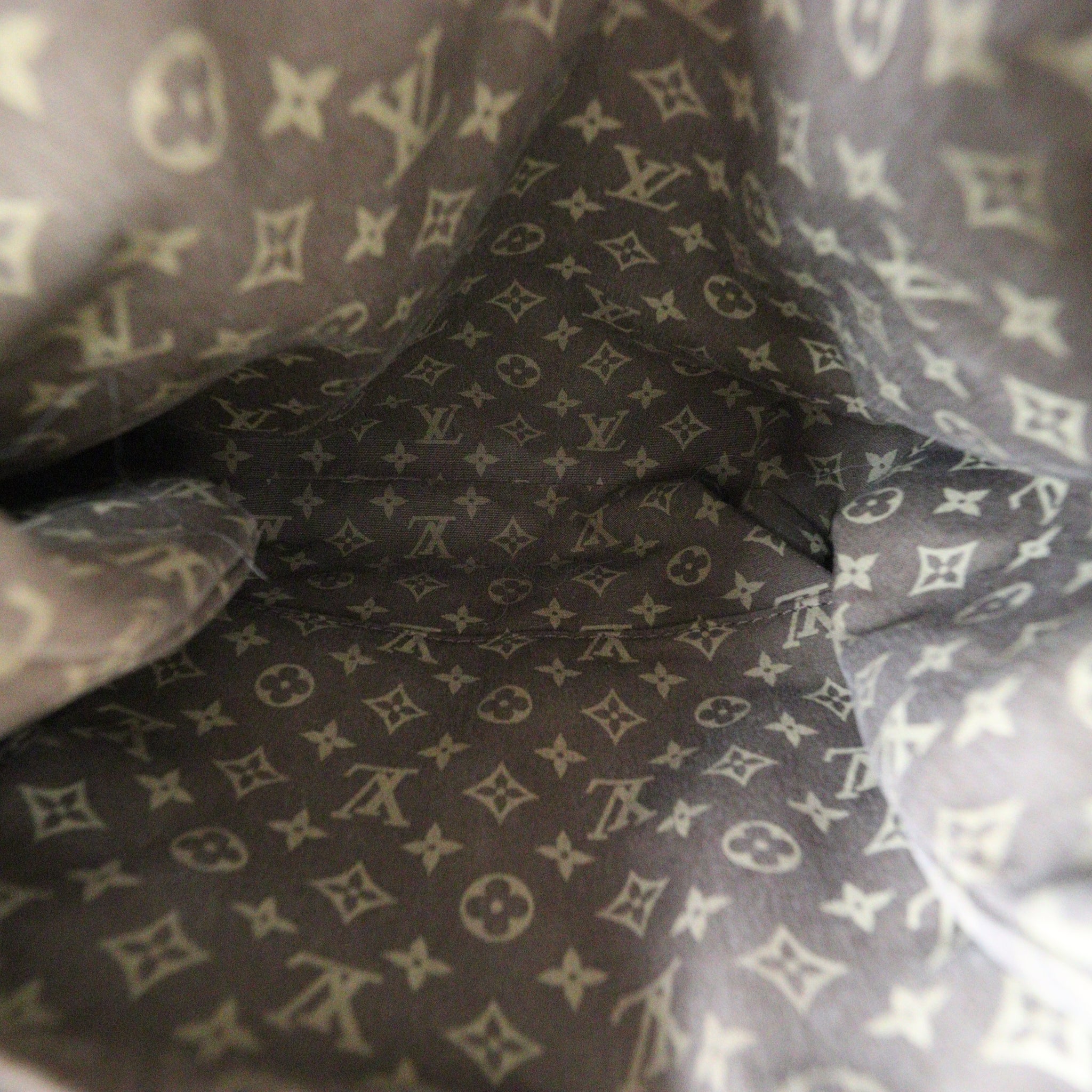 Louis Vuitton Globe PM Tote