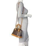 Louis Vuitton Alma BB Monogram_IMG_4071.jpeg