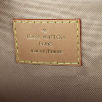Louis Vuitton Alma Nano Monogram Dune_IMG_8419.jpg