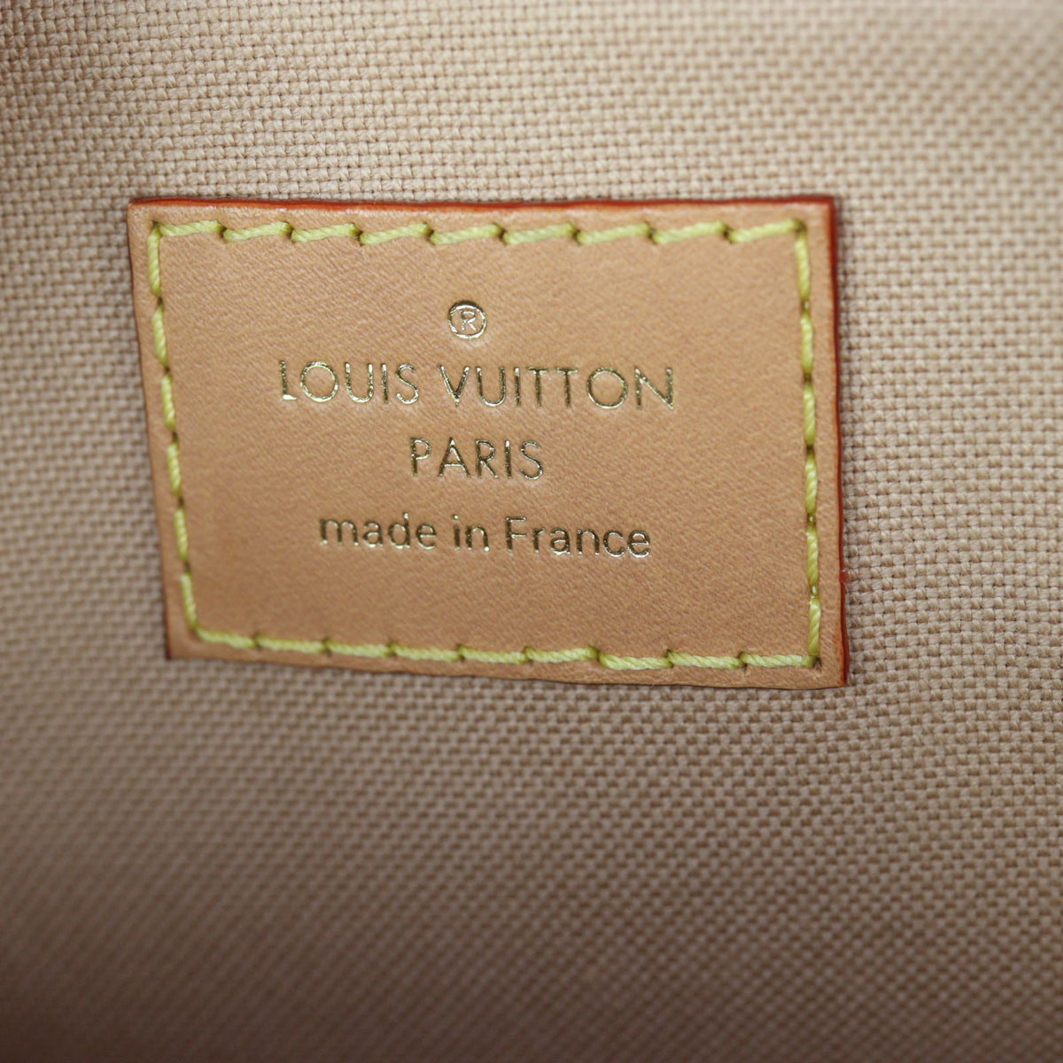 Louis Vuitton Alma Nano Monogram Dune_IMG_8419.jpg