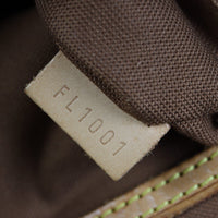 Louis Vuitton Alma PM Monogram_IMG_9586.jpg