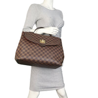 Louis Vuitton Bergamo PM Damier Ebene_IMG_4493.jpeg