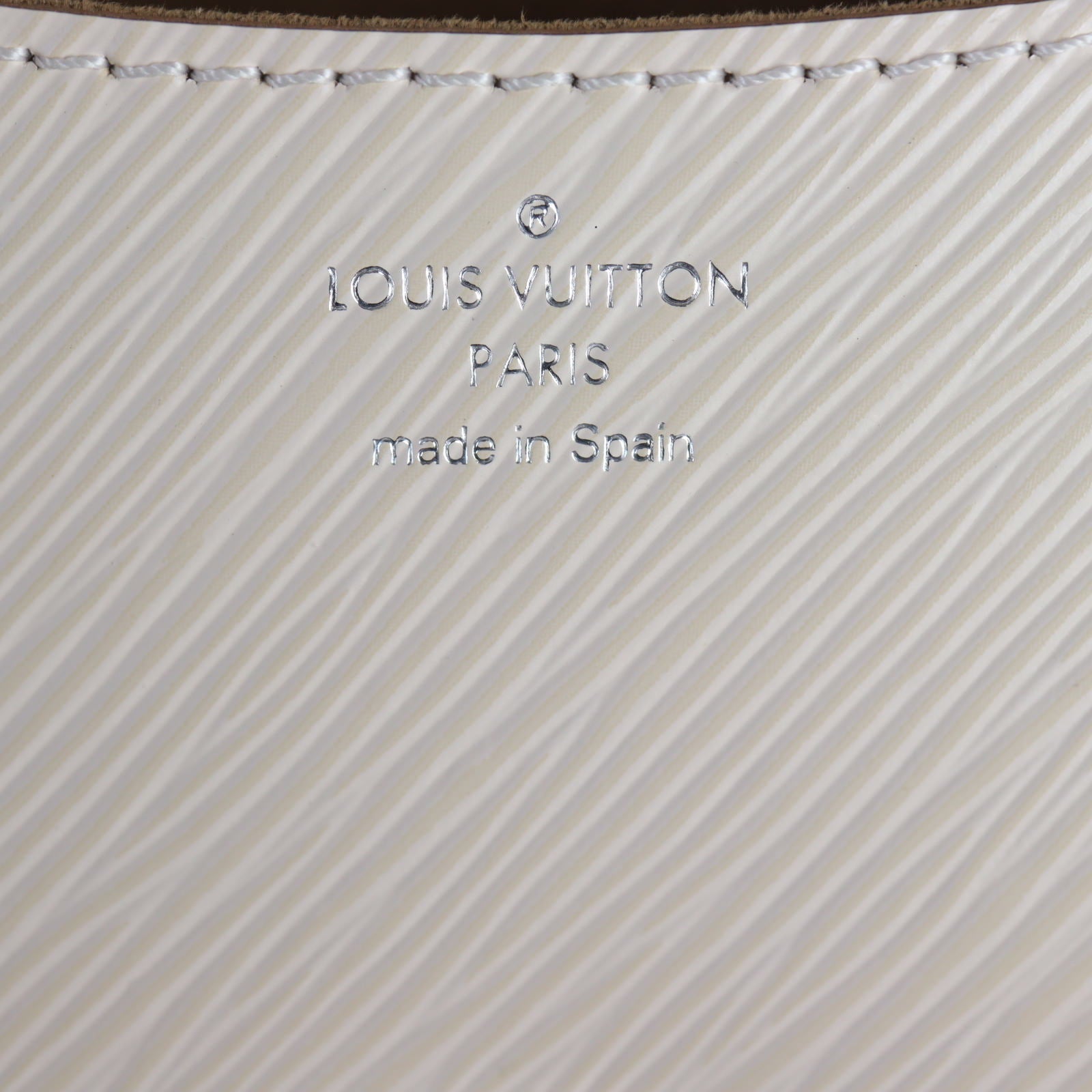 Louis Vuitton Buci Epi_IMG_4709.jpg