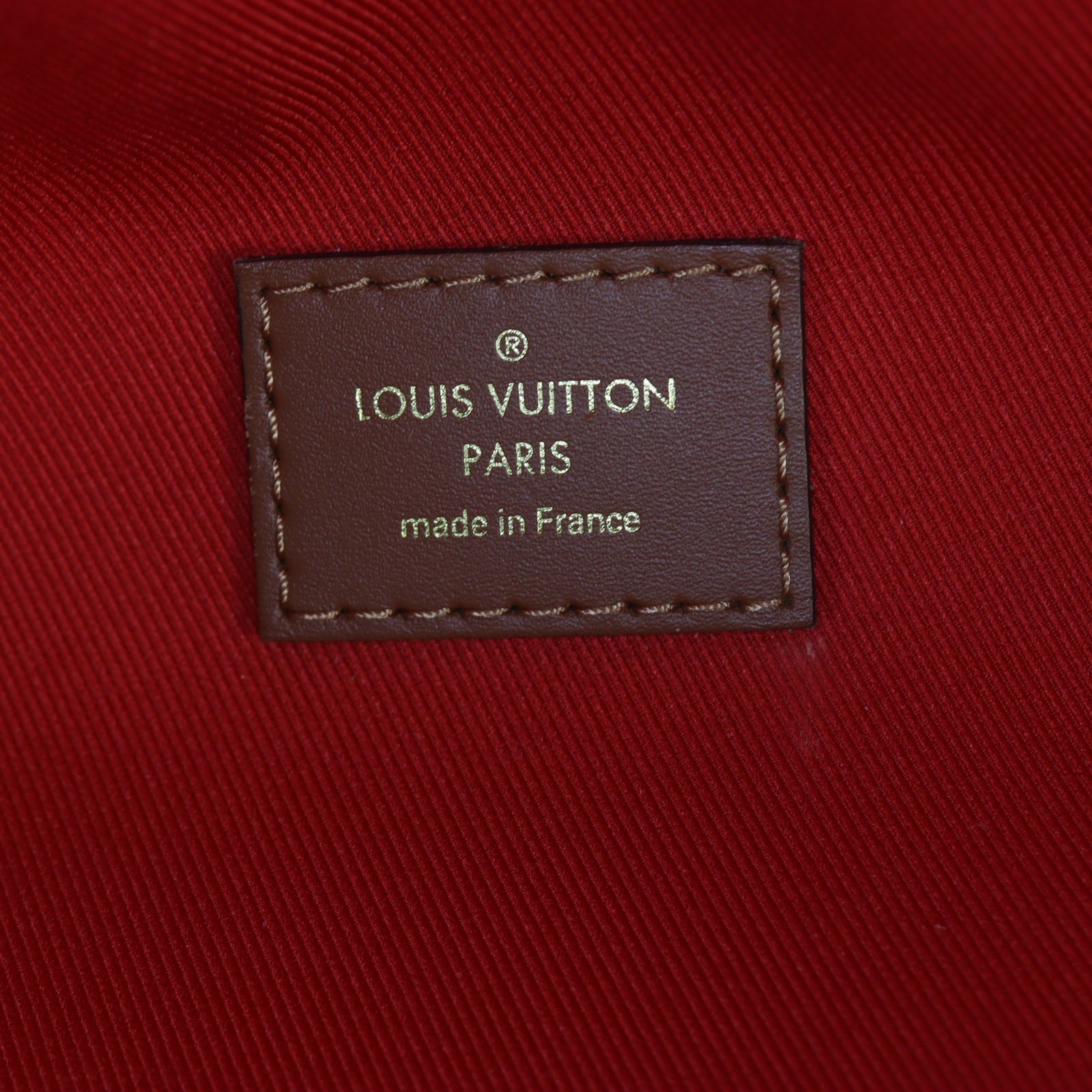 Louis Vuitton Bum Bag Monogram Giant Teddy Fleece_IMG_6821.jpg