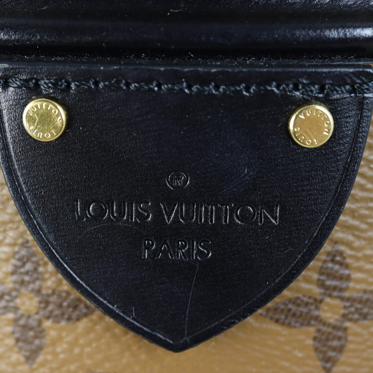 Louis Vuitton Cannes Monogram Reverse_IMG_3357.jpg