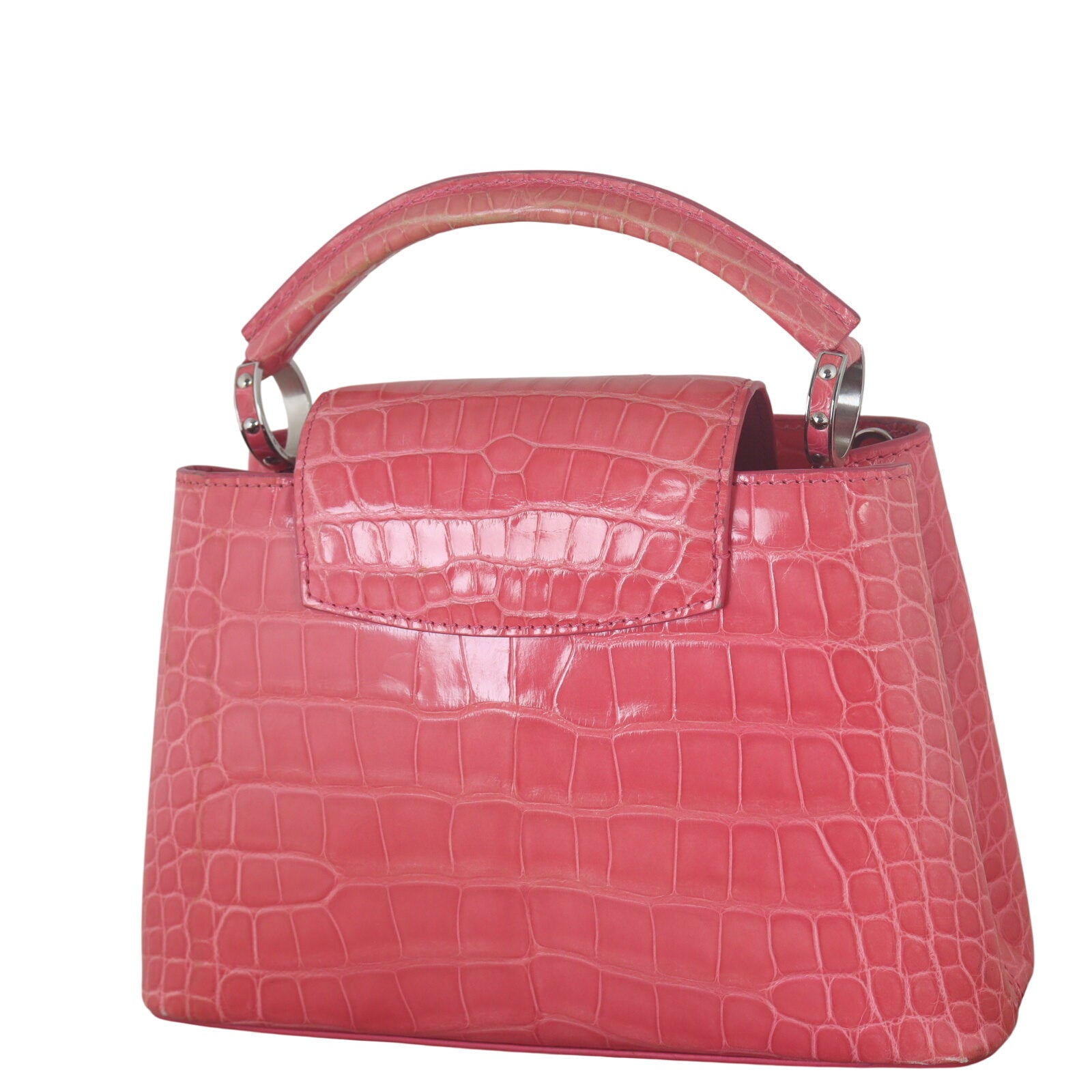 Louis Vuitton Capucines BB Alligator_IMG_7079.jpeg