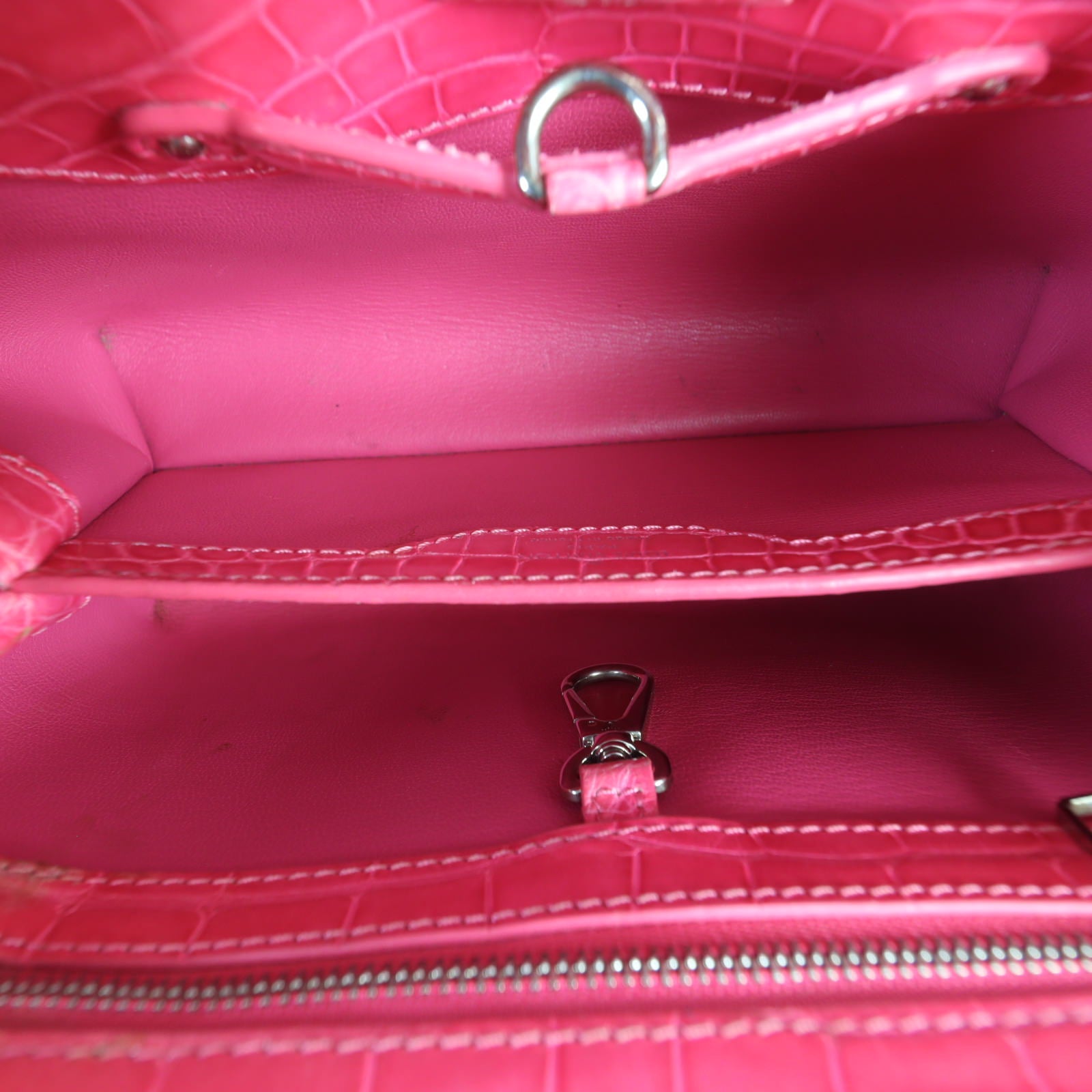 Louis Vuitton Capucines BB Alligator_IMG_7088.jpg