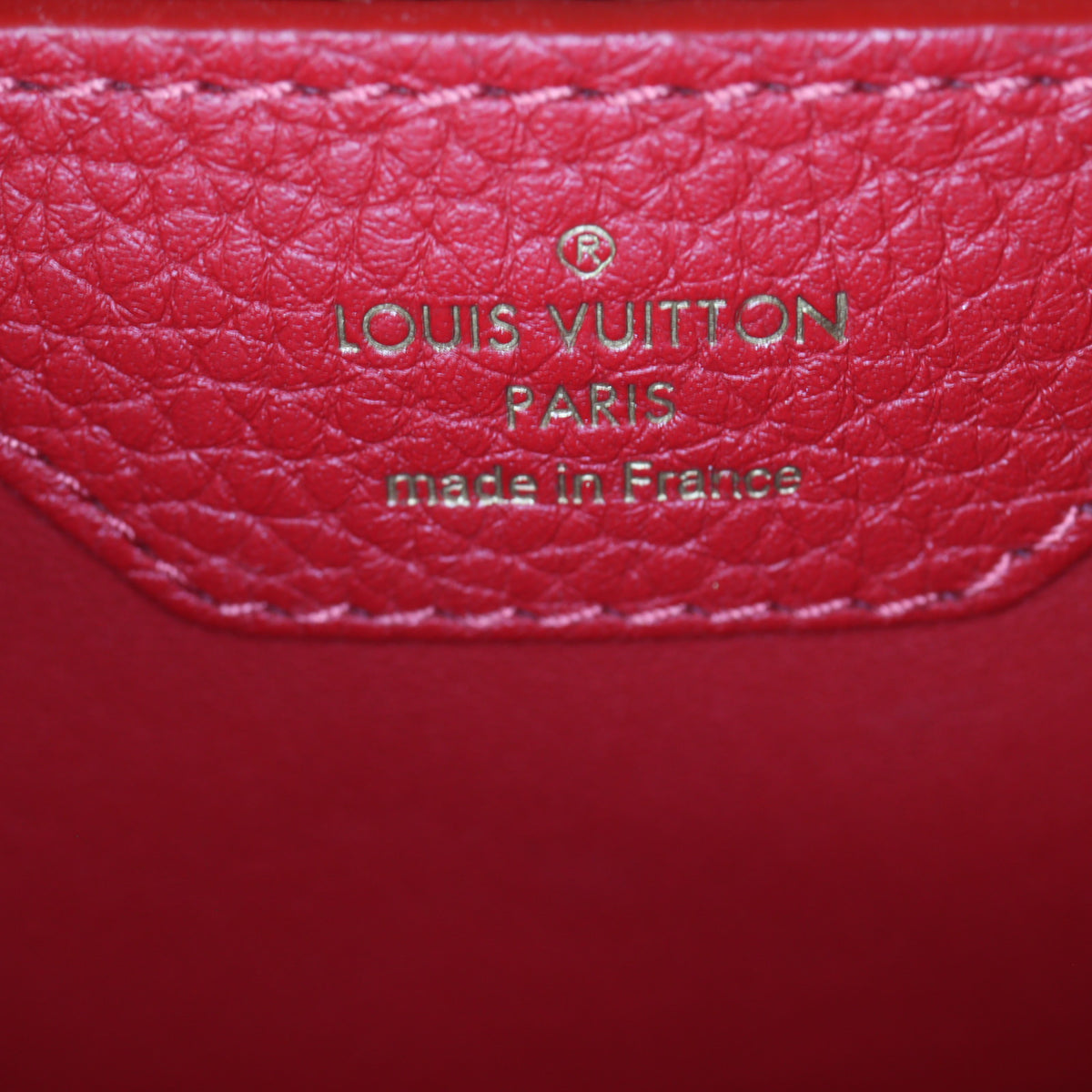 Louis Vuitton Capucines BB_IMG_2859.jpg