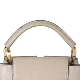 Louis Vuitton Capucines BB_IMG_8156.jpeg