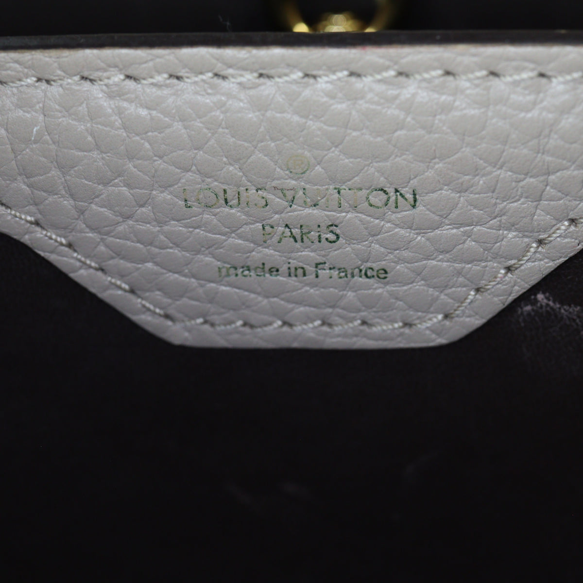 Louis Vuitton Capucines BB_IMG_8162.jpg
