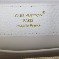 Louis Vuitton Capucines Mini_IMG_1175.jpg