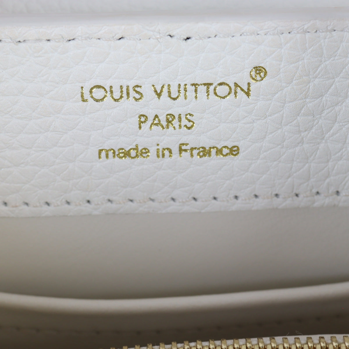 Louis Vuitton Capucines Mini_IMG_1175.jpg